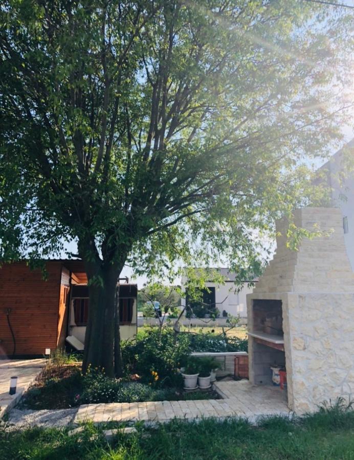 Apartmani Veronika Sukošan Zewnętrze zdjęcie